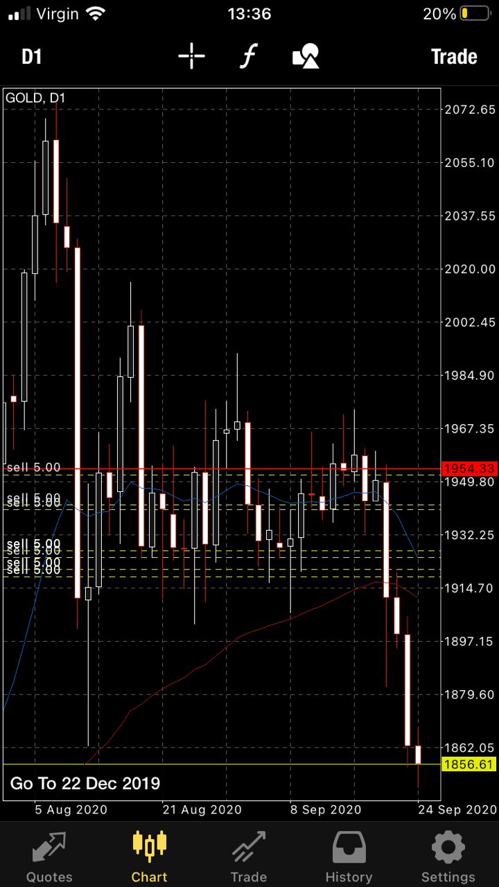 photo6007919834580497113